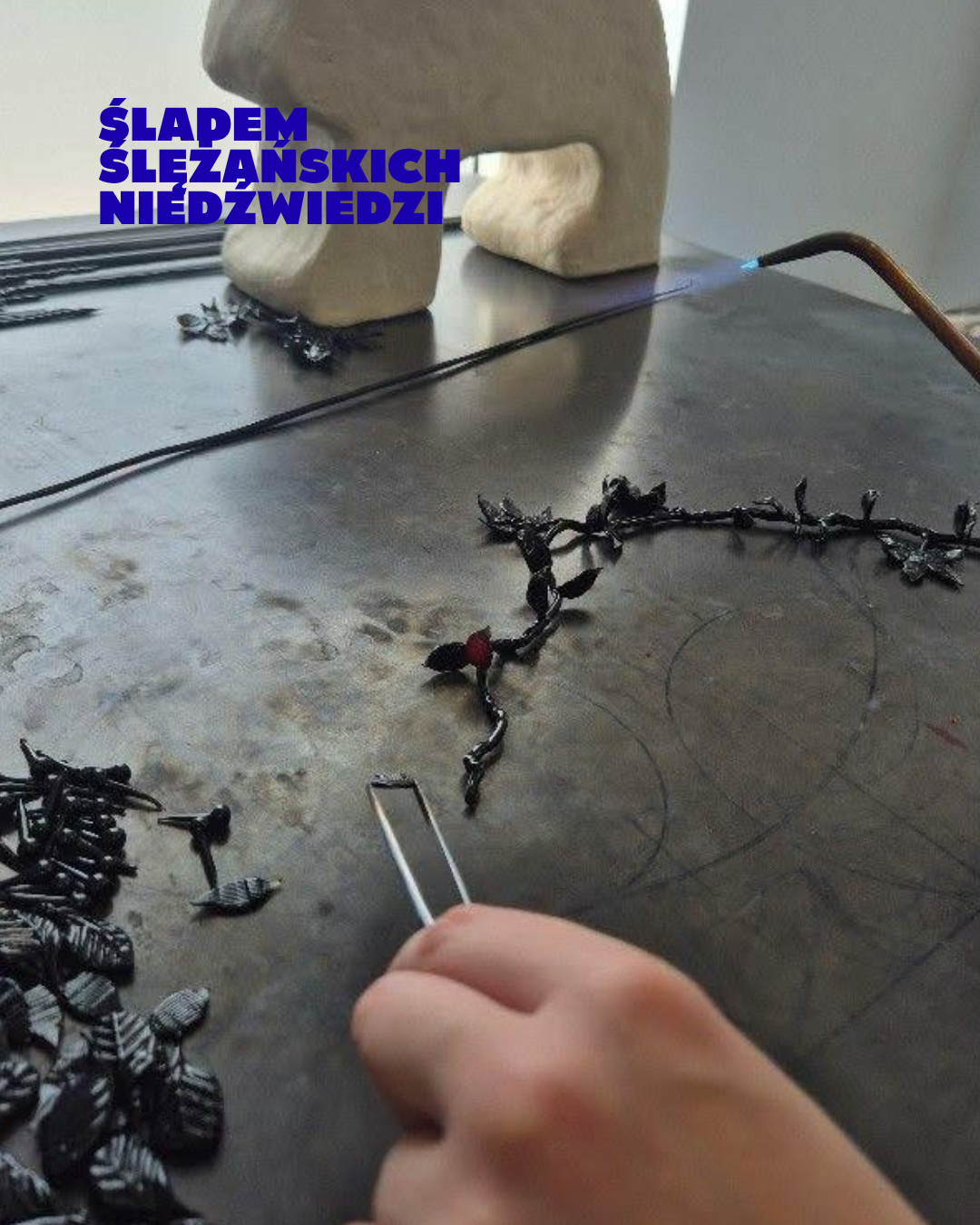 Śladem ślężańskich niedźwiedzi